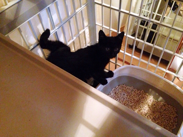 f:id:akiyochan15:20161129161735j:image:w518 f:id:akiyochan15:20161129161735j:image:w518