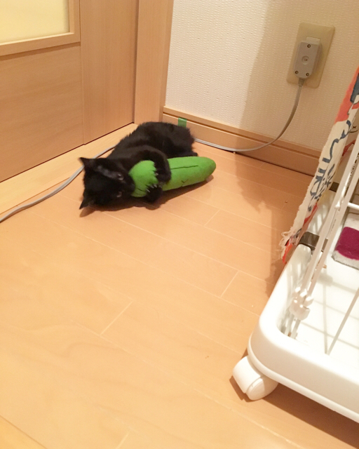 f:id:akiyochan15:20170111164110j:image:w389