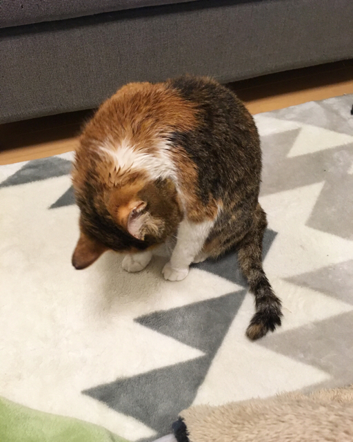 f:id:akiyochan15:20170219150704j:image:w400 f:id:akiyochan15:20170219150704j:image:w400