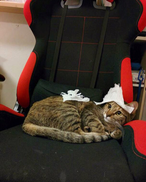 f:id:akiyochan15:20170306141214j:image:w389 f:id:akiyochan15:20170306141214j:image:w389