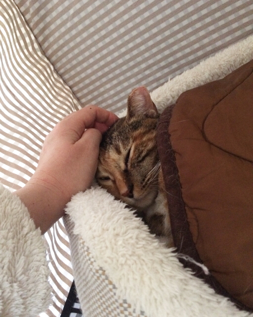 f:id:akiyochan15:20170308153907j:image:w389 f:id:akiyochan15:20170308153907j:image:w389