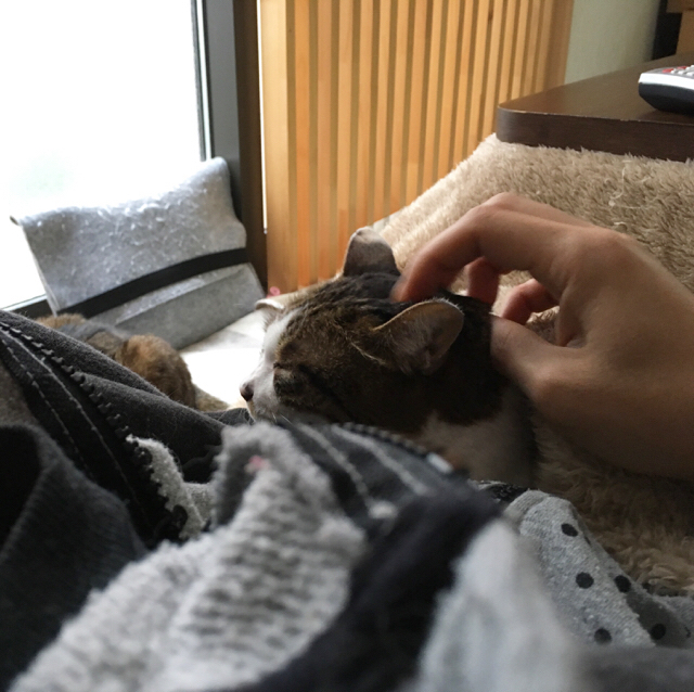 f:id:akiyochan15:20170321140629j:image:w450 f:id:akiyochan15:20170321140629j:image:w450