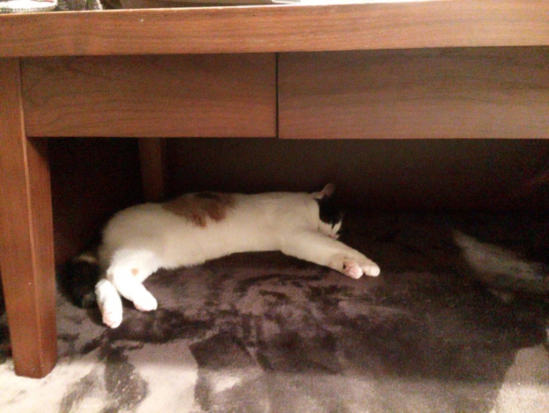 f:id:akiyochan15:20170324201526j:image:w518