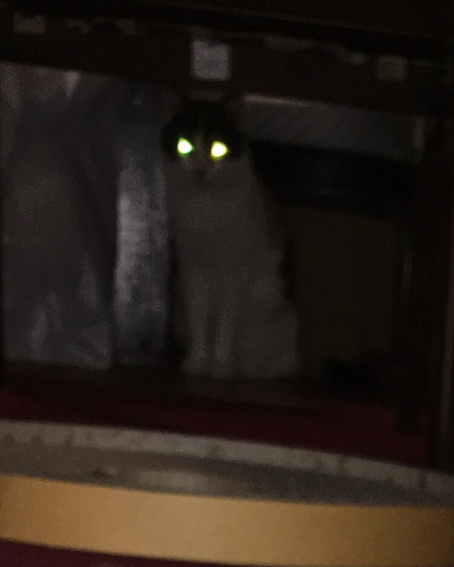 f:id:akiyochan15:20170411115821j:image:w400