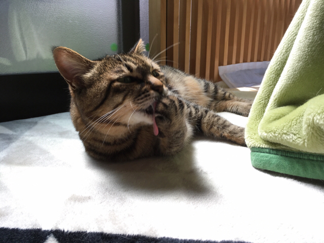 f:id:akiyochan15:20170509130854j:image:w518