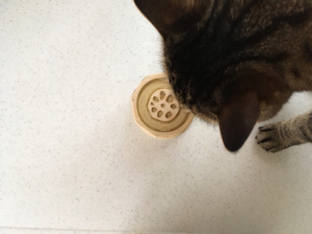 f:id:akiyochan15:20170509130855j:image:w518