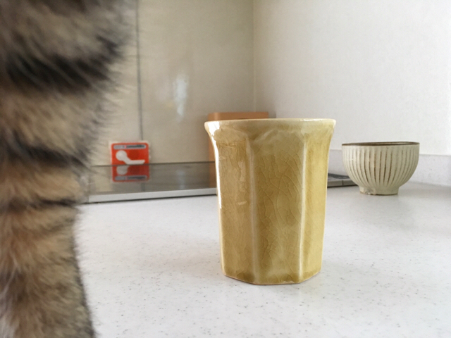 f:id:akiyochan15:20170509130856j:image:w518