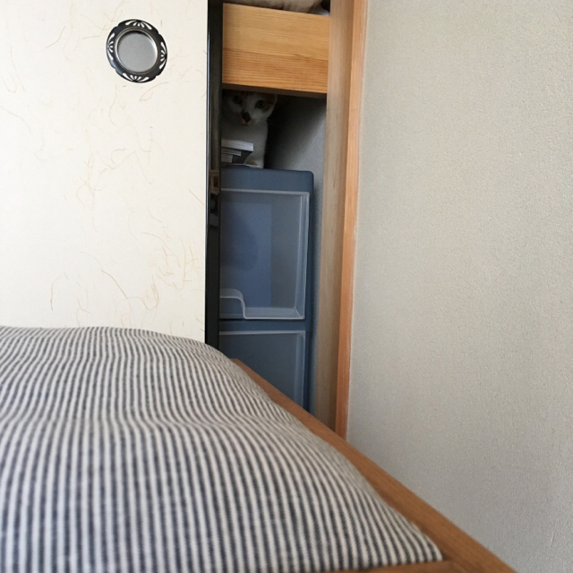 f:id:akiyochan15:20170522122611j:image:w450 f:id:akiyochan15:20170522122611j:image:w450