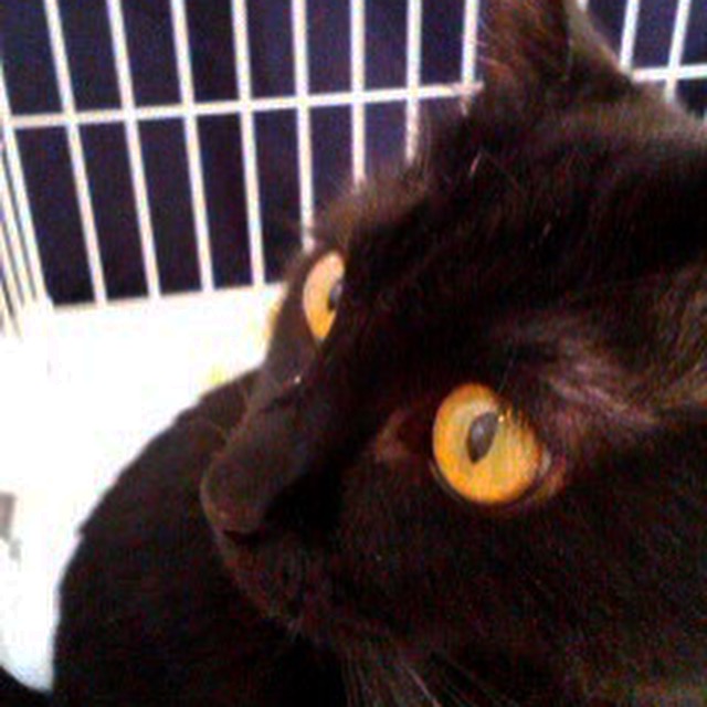 f:id:akiyochan15:20170615100343j:image:w450