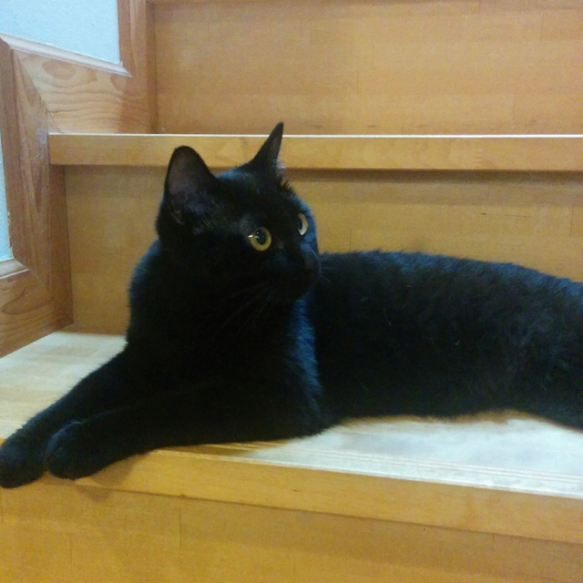 f:id:akiyochan15:20170802205718j:image:w500 f:id:akiyochan15:20170802205718j:image:w500