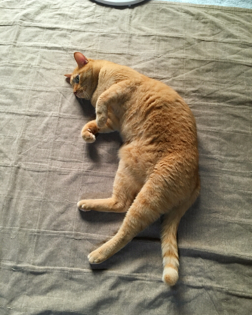 f:id:akiyochan15:20170813030558j:image:w400