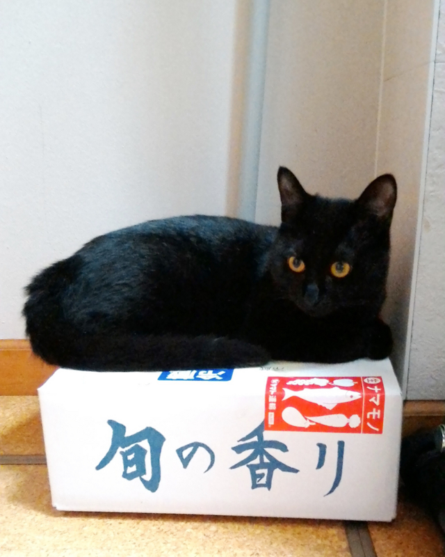 f:id:akiyochan15:20170815190445j:image:w400