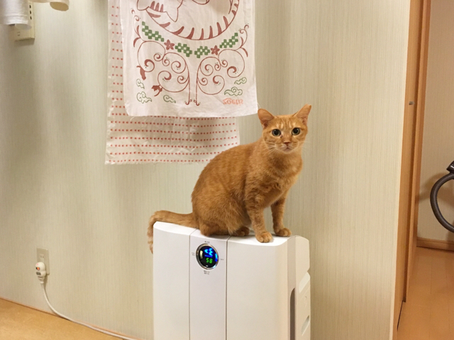 f:id:akiyochan15:20170906125616j:image:w518 f:id:akiyochan15:20170906125616j:image:w518