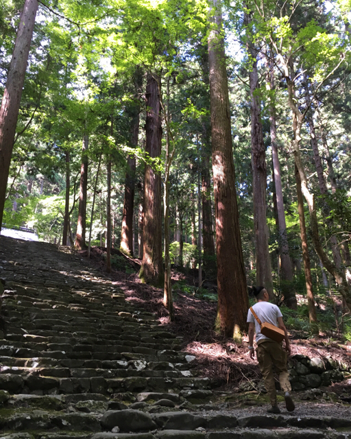 f:id:akiyochan15:20170906125630j:image:w400 f:id:akiyochan15:20170906125630j:image:w400