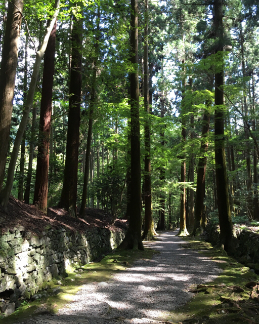 f:id:akiyochan15:20170906125715j:image:w400 f:id:akiyochan15:20170906125715j:image:w400