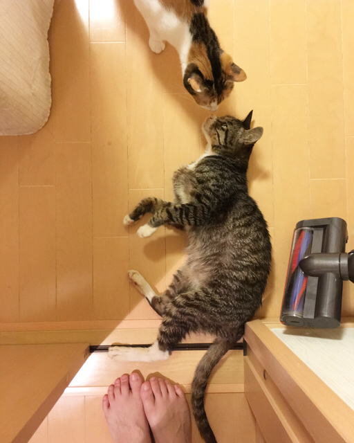 f:id:akiyochan15:20171001144044j:image:w389