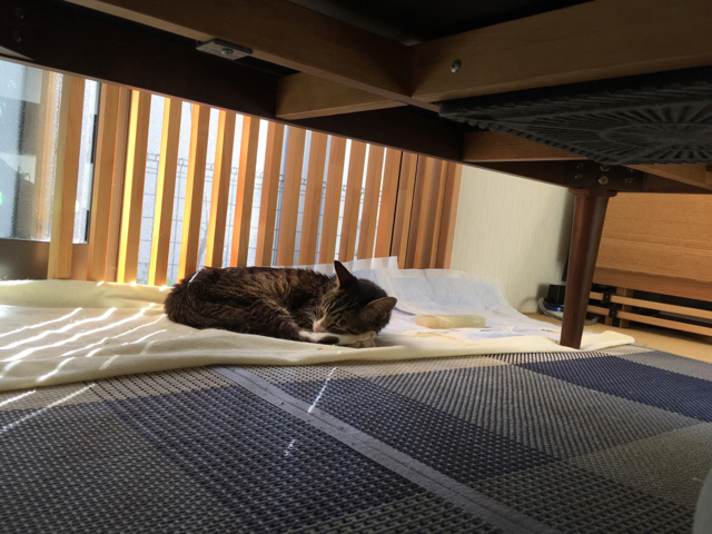 f:id:akiyochan15:20171001144135j:image:w518