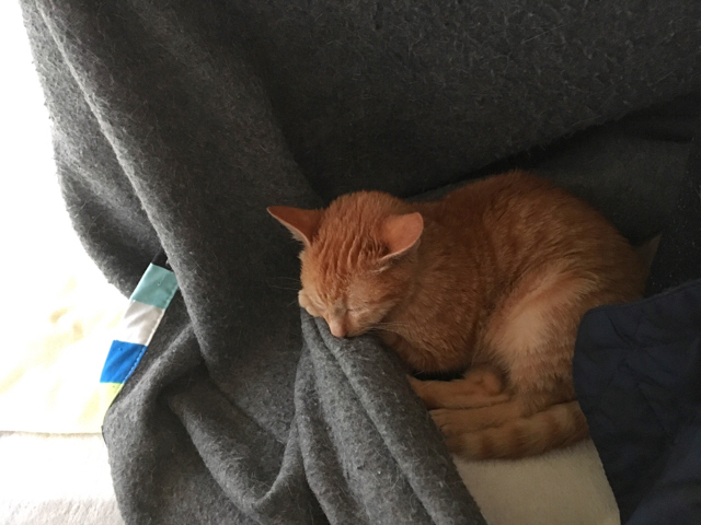 f:id:akiyochan15:20171206131144j:image:w518