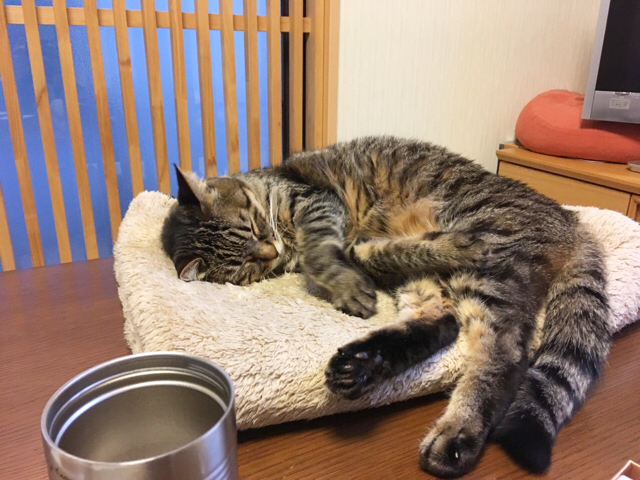 f:id:akiyochan15:20171231223014j:image:w518