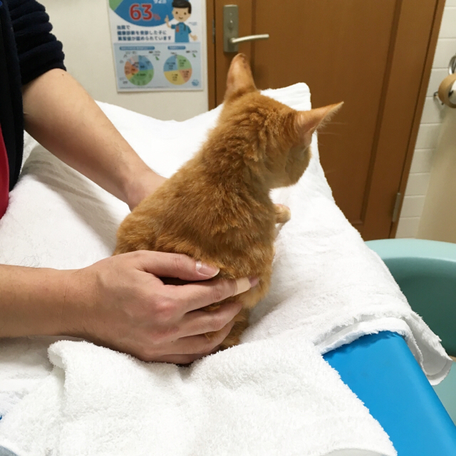 f:id:akiyochan15:20180107150923j:image:w400