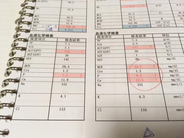 f:id:akiyochan15:20180404135654j:image:w518