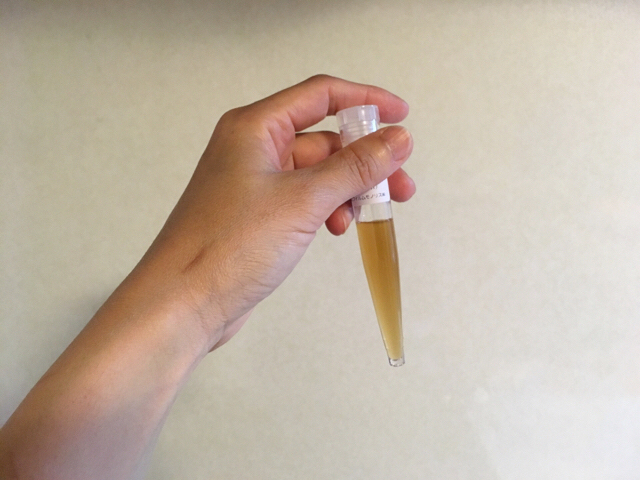 f:id:akiyochan15:20180404135657j:image:w518