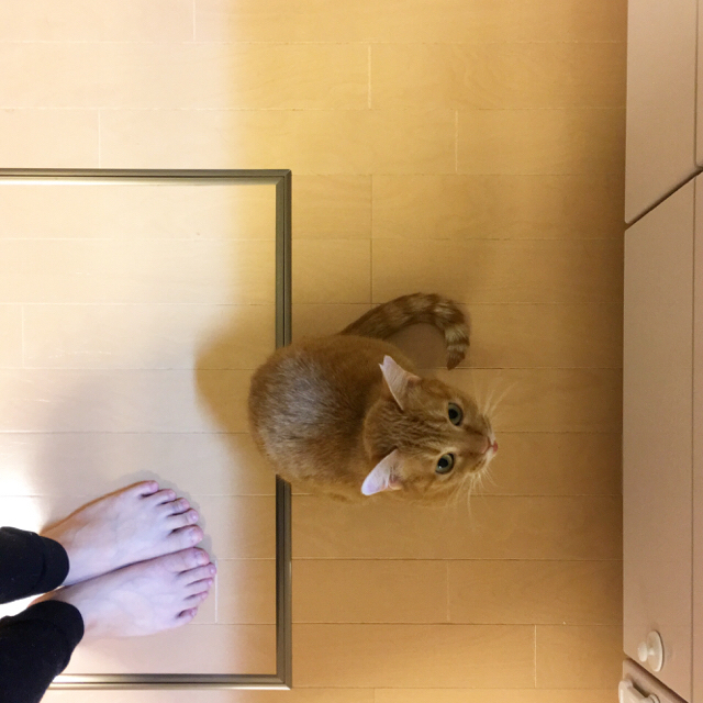 f:id:akiyochan15:20180404135704j:image:w450