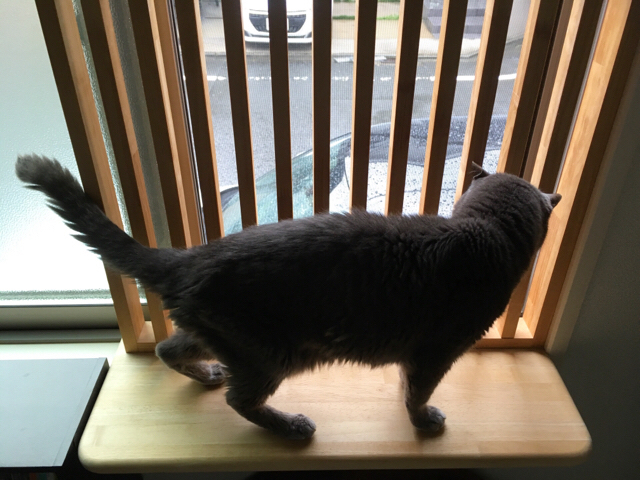 f:id:akiyochan15:20180709032200j:image:w518