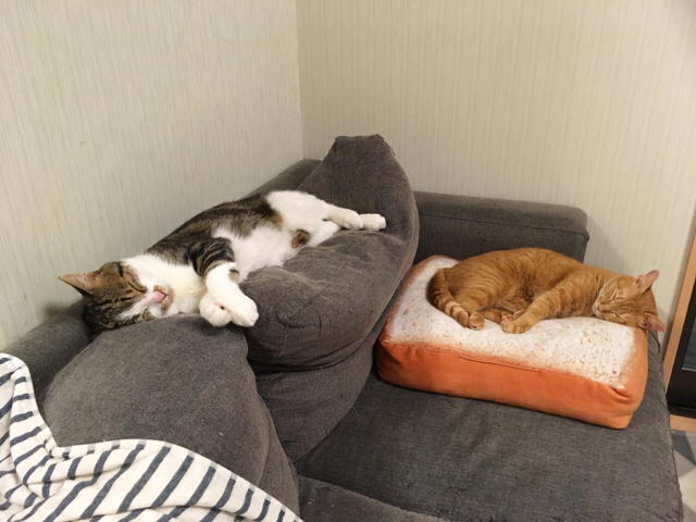 f:id:akiyochan15:20180709032249j:image:w518