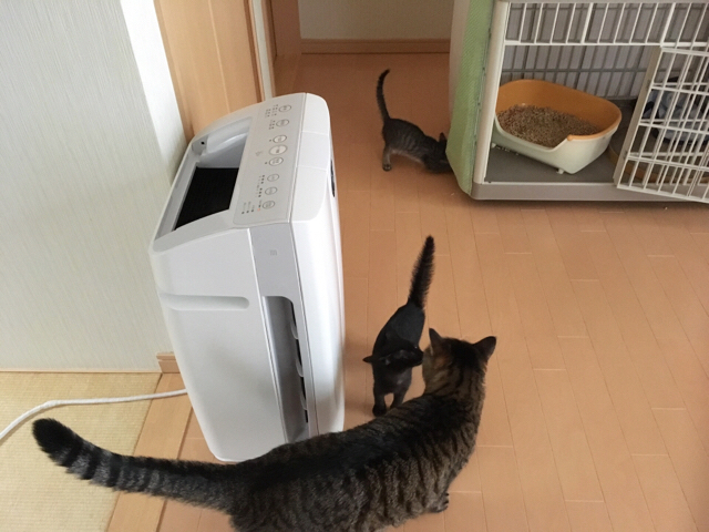 f:id:akiyochan15:20180910120507j:image:w518