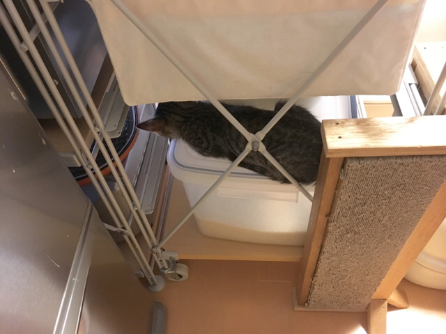 f:id:akiyochan15:20180910120627j:image:w518