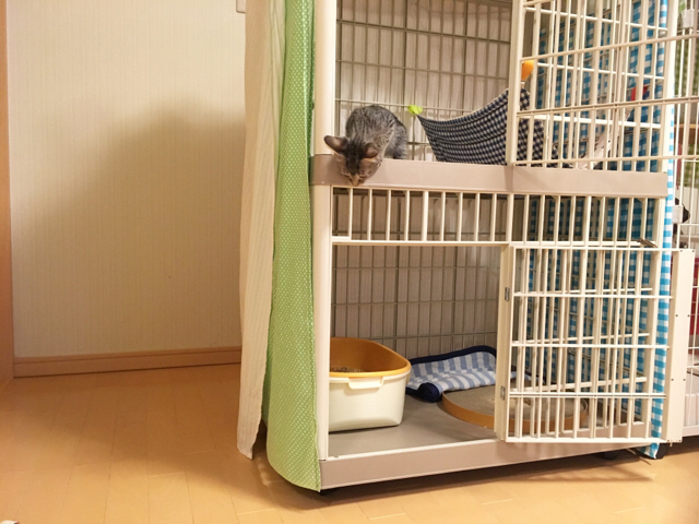 f:id:akiyochan15:20180911151132j:image:w518