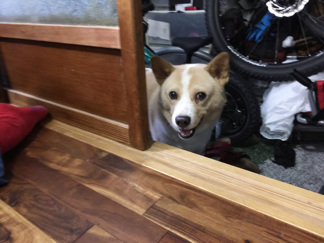 f:id:akiyochan15:20180924154723j:image:w518 f:id:akiyochan15:20180924154723j:image:w518