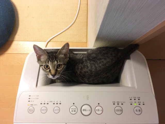 f:id:akiyochan15:20181008173622j:image:w518