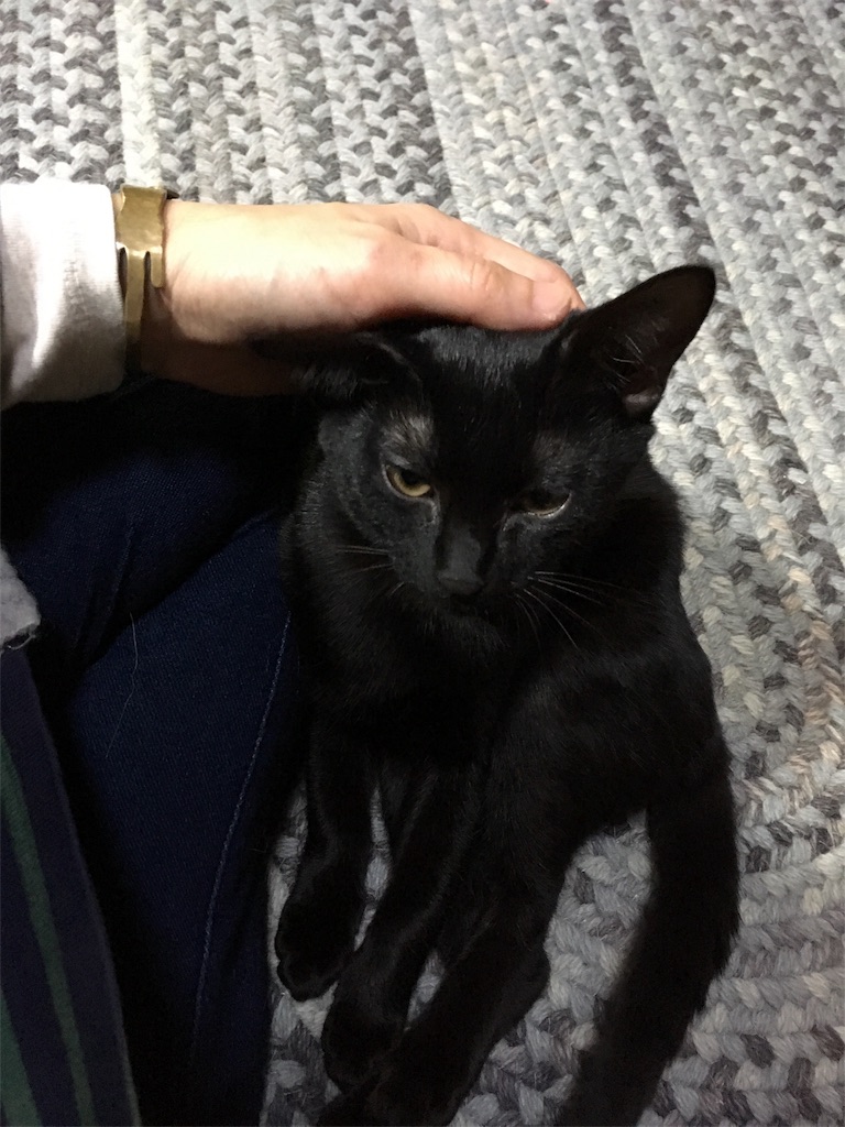 f:id:akiyochan15:20181118025123j:image