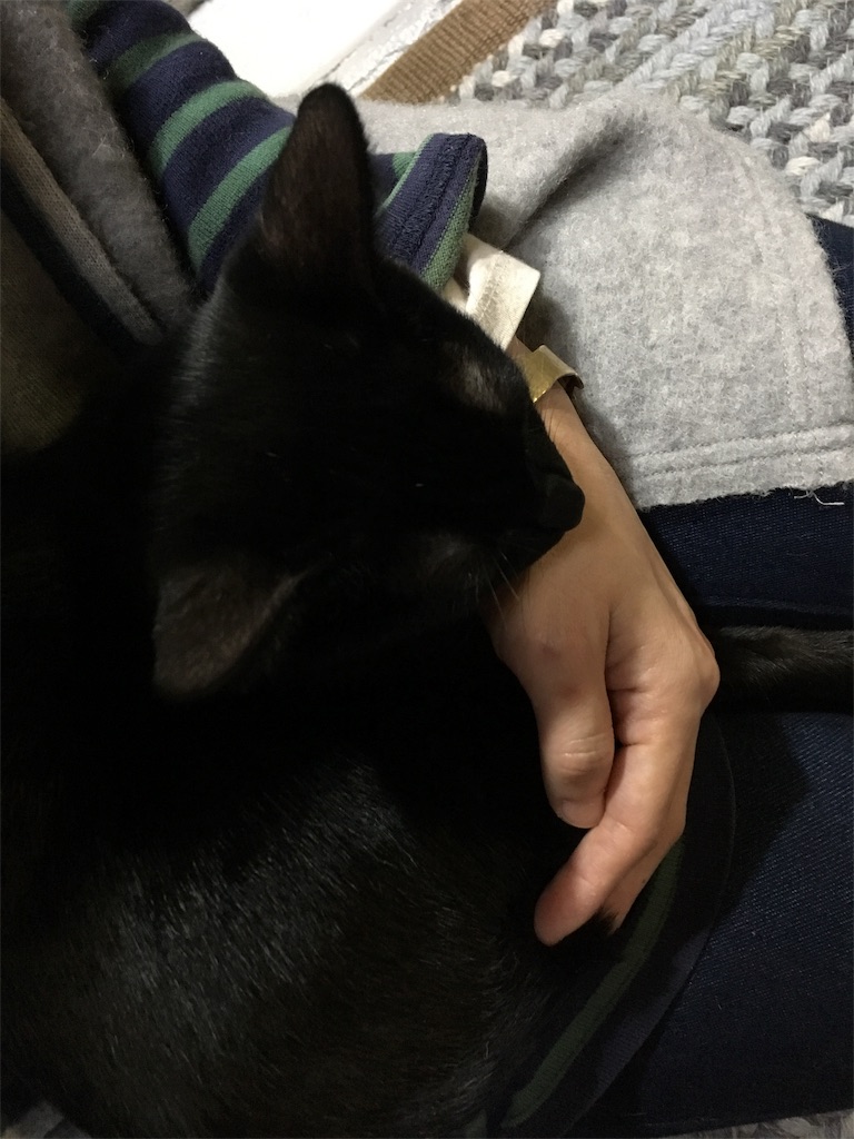 f:id:akiyochan15:20181118025411j:image