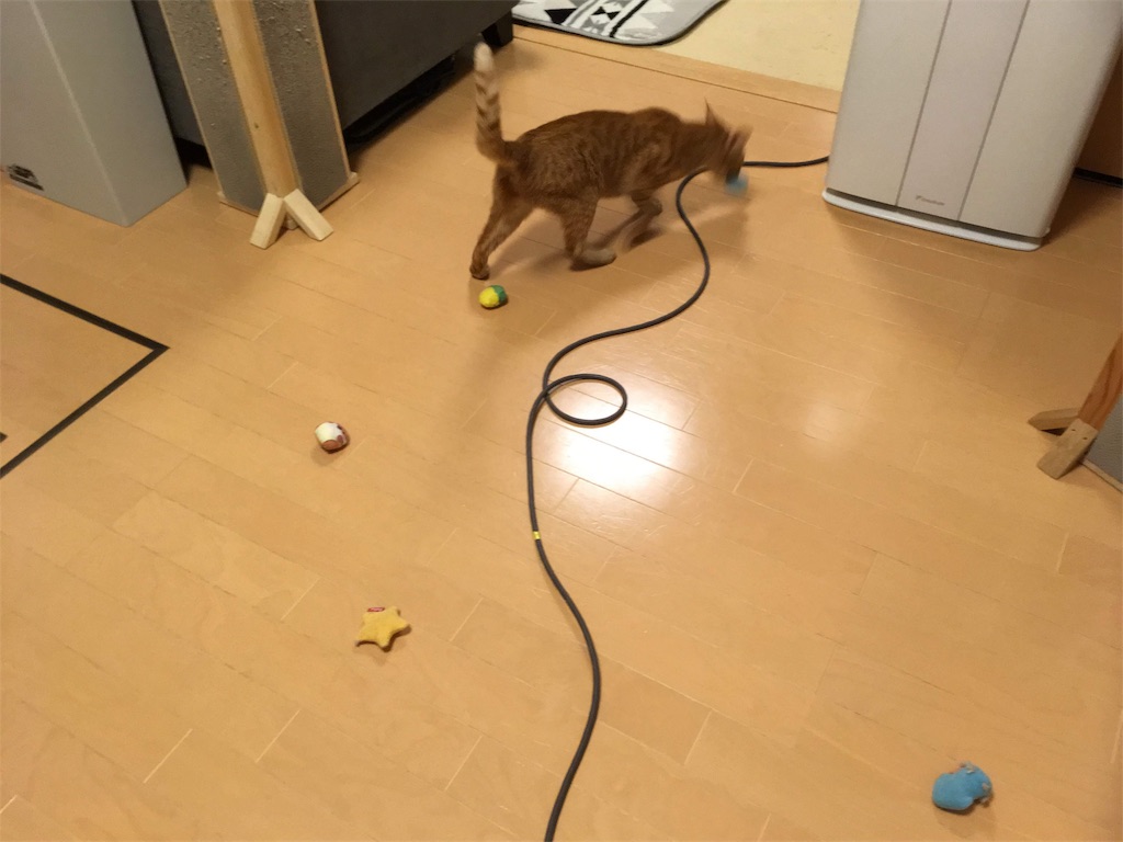 f:id:akiyochan15:20181118031850j:image