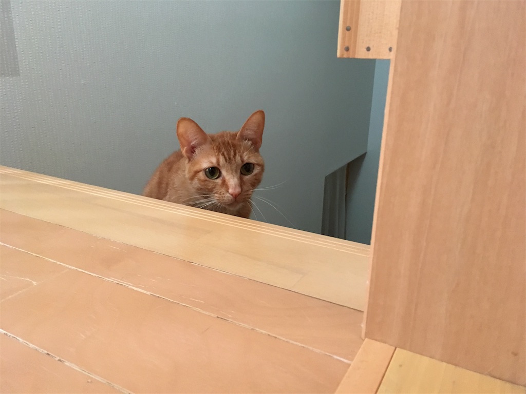 f:id:akiyochan15:20181221162923j:image