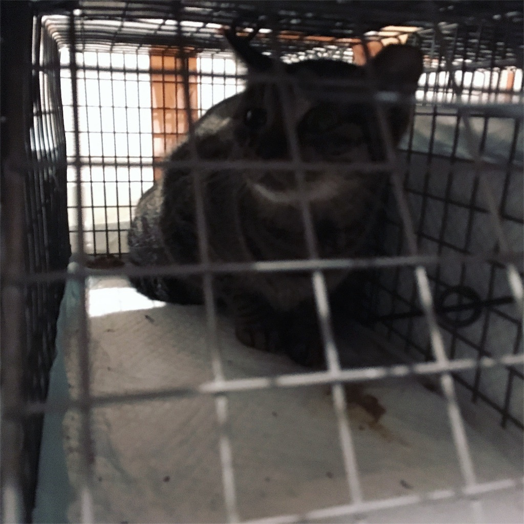 f:id:akiyochan15:20181227015045j:image f:id:akiyochan15:20181227015045j:image