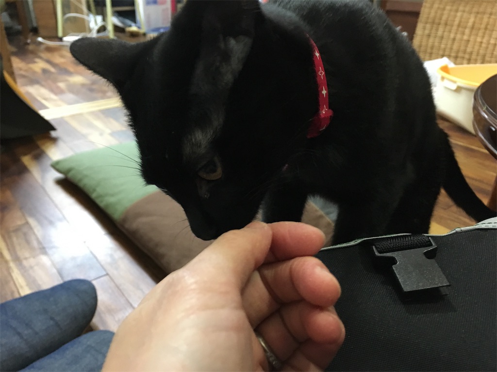 f:id:akiyochan15:20190124012550j:image