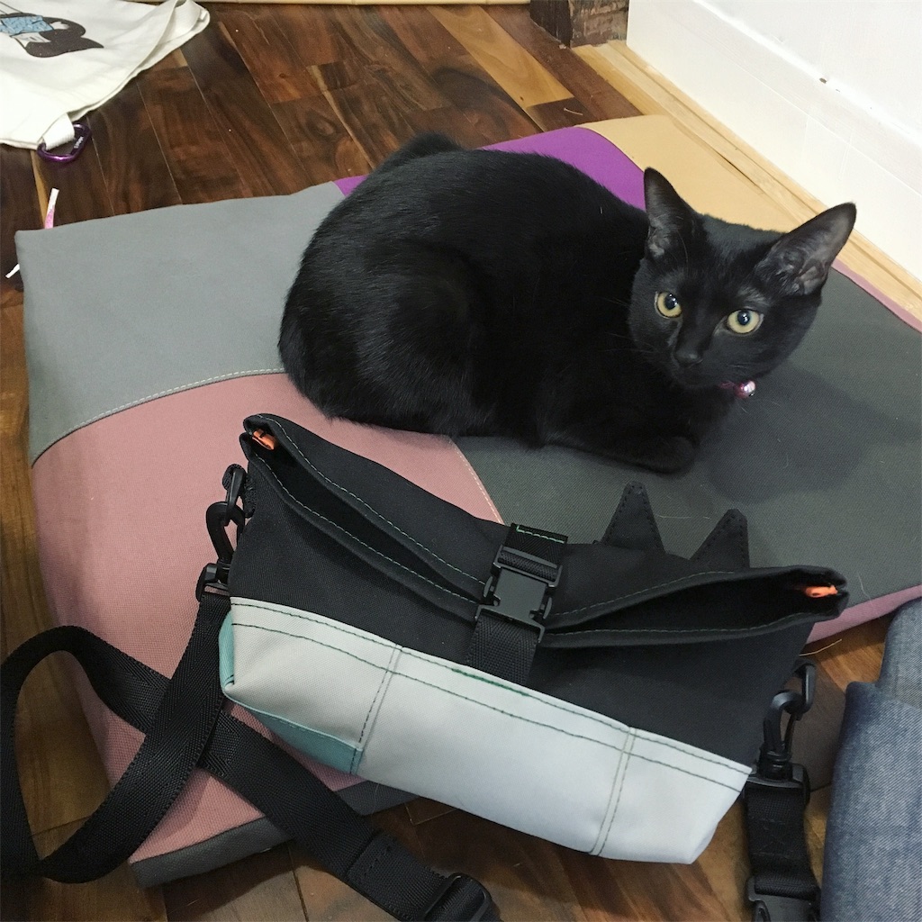 f:id:akiyochan15:20190125230226j:image