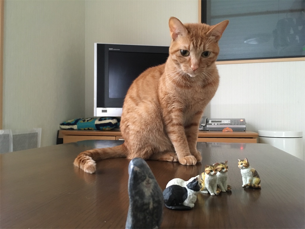 f:id:akiyochan15:20190215005827j:image f:id:akiyochan15:20190215005827j:image