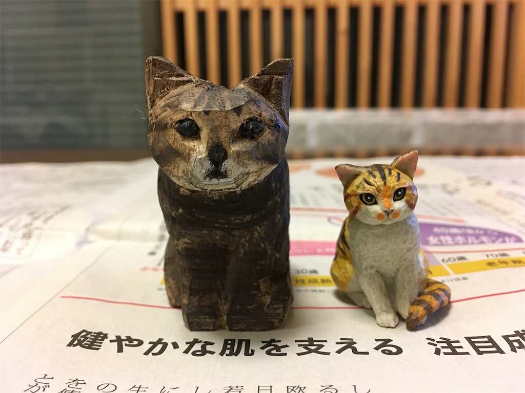 f:id:akiyochan15:20190215011908j:image f:id:akiyochan15:20190215011908j:image