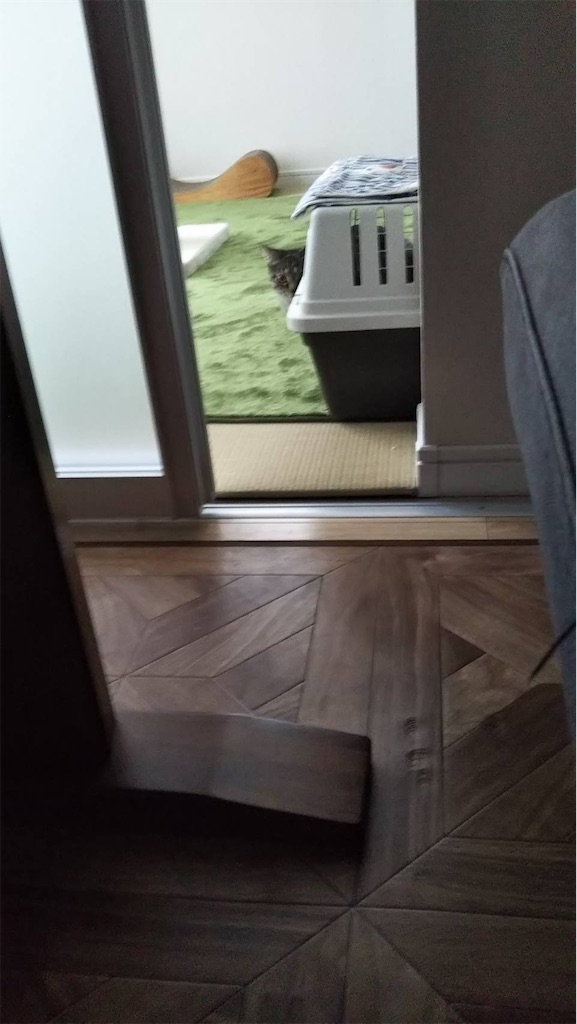 f:id:akiyochan15:20190406165829j:image