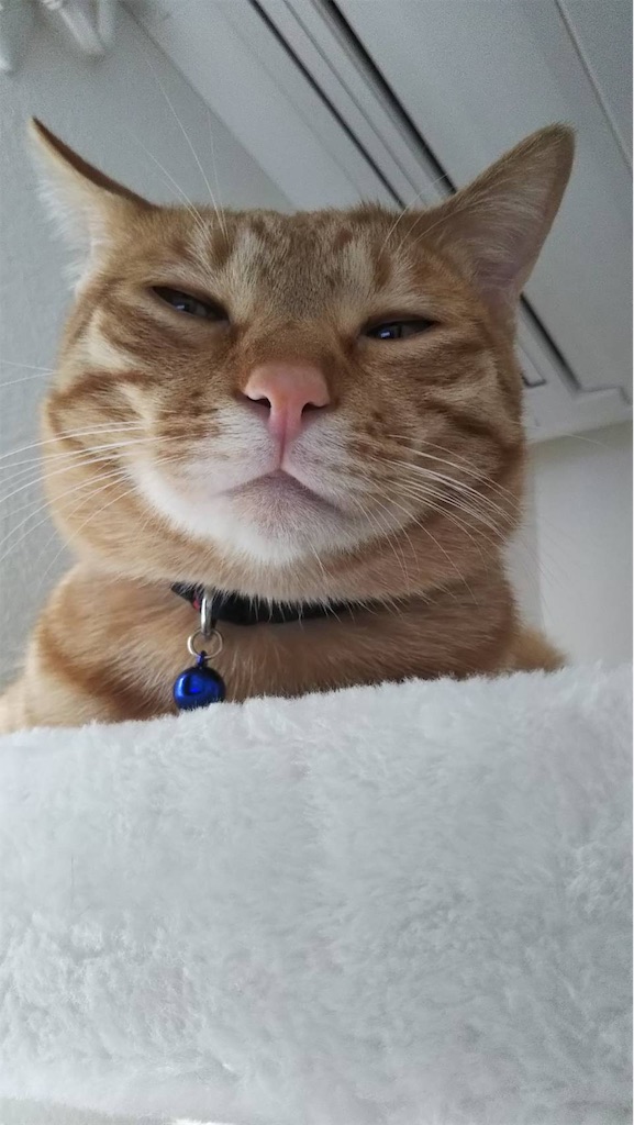 f:id:akiyochan15:20190406170058j:image