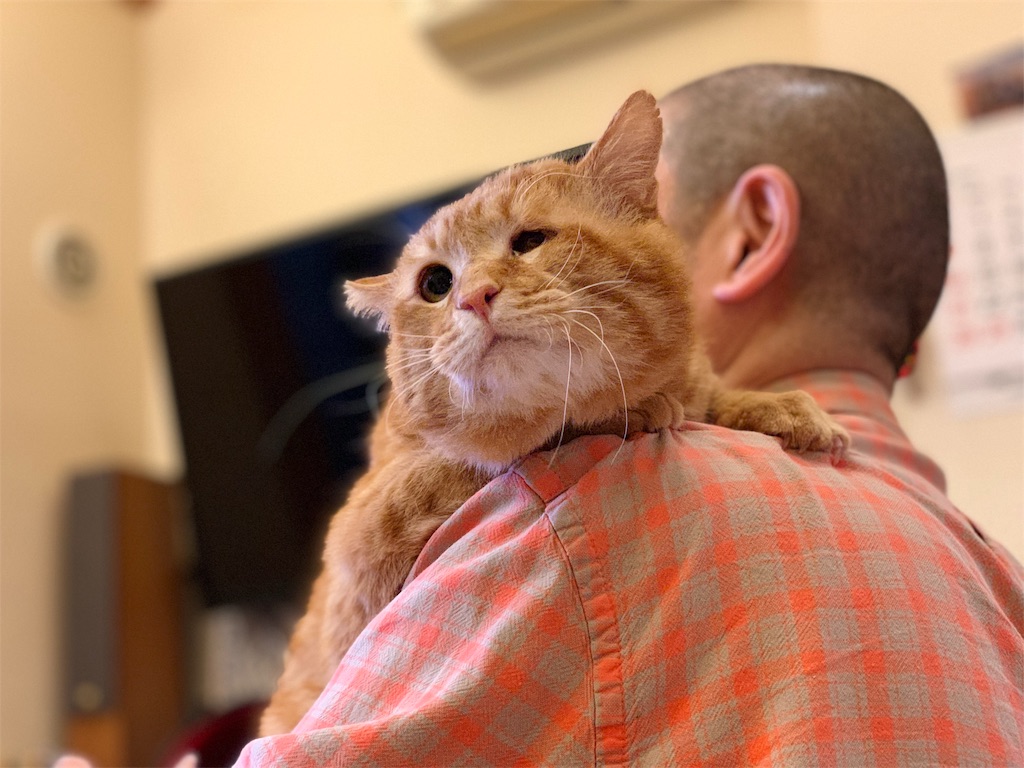 f:id:akiyochan15:20190429225903j:image f:id:akiyochan15:20190429225903j:image