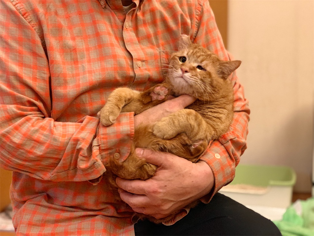 f:id:akiyochan15:20190429225907j:image f:id:akiyochan15:20190429225907j:image