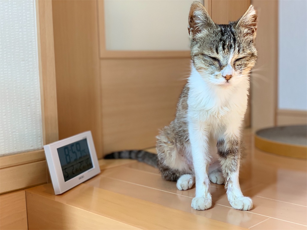 f:id:akiyochan15:20190509024703j:image