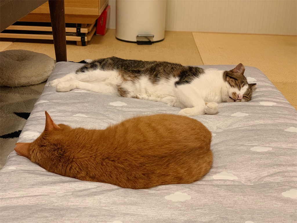 f:id:akiyochan15:20190615163501j:image