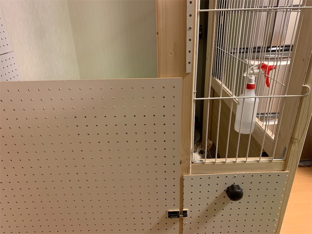 f:id:akiyochan15:20190912192642j:image